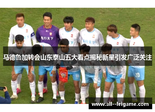马德鲁加转会山东泰山五大看点揭秘新星引发广泛关注