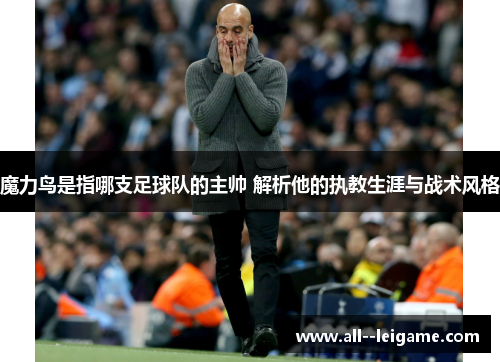 魔力鸟是指哪支足球队的主帅 解析他的执教生涯与战术风格 魔力鸟是指哪支足球队的主帅 解析他的执教生涯与战术风格