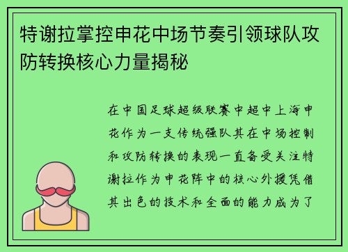 特谢拉掌控申花中场节奏引领球队攻防转换核心力量揭秘