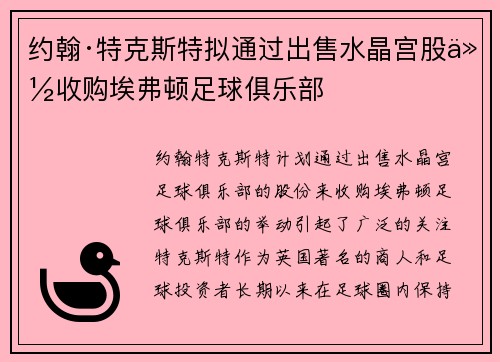 约翰·特克斯特拟通过出售水晶宫股份收购埃弗顿足球俱乐部