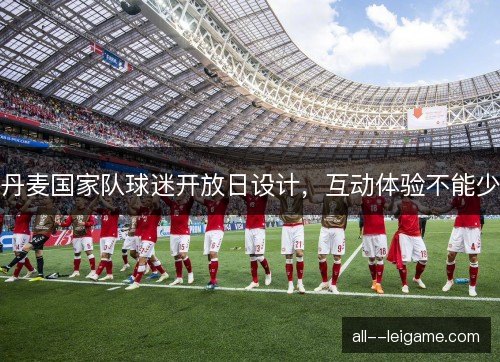 丹麦国家队球迷开放日设计，互动体验不能少
